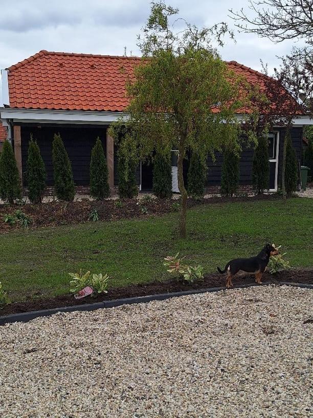 Gastenhuis Amstelmeerzicht. Villa Westerland Buitenkant foto